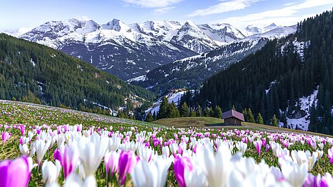 Bildnachweis: © Zillertal Tourismus / Thomas Pfister